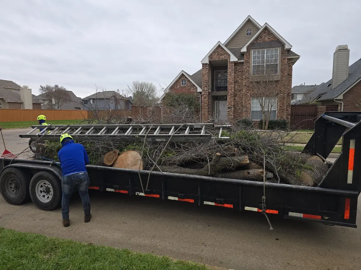 Expert Tree Pest Control with proper safety equipment in Penn